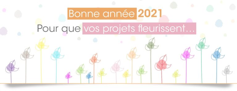 Bonne année 2021 !