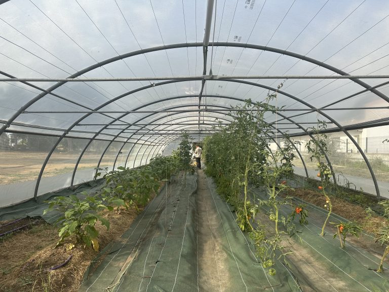 Inauguration d’une ferme innovante en Corse, gérée par l’ESAT APAJH de Prunelli