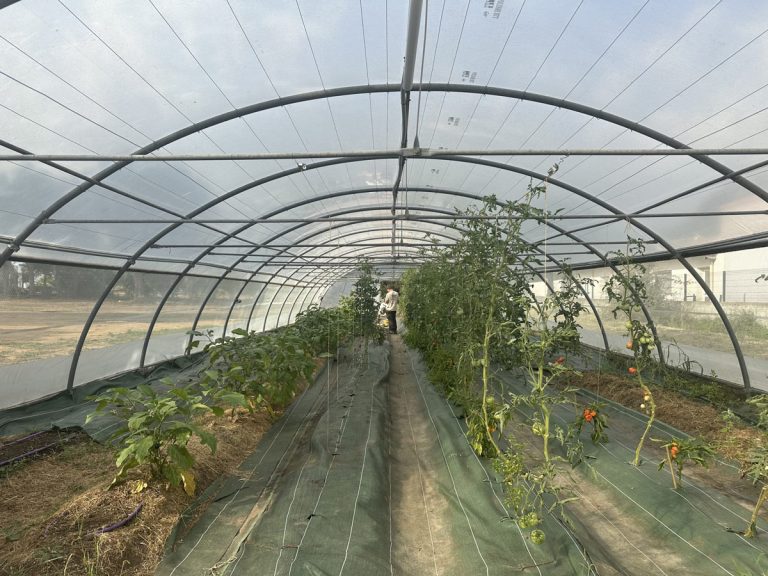 Inauguration d’une ferme innovante en Corse